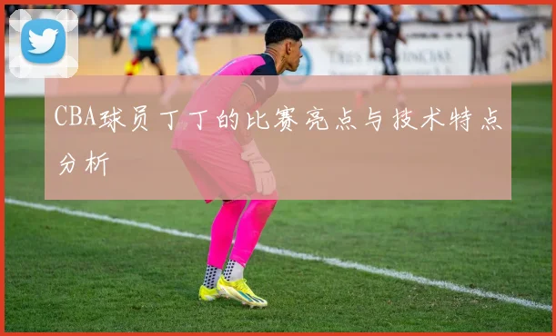 CBA球员丁丁的比赛亮点与技术特点分析