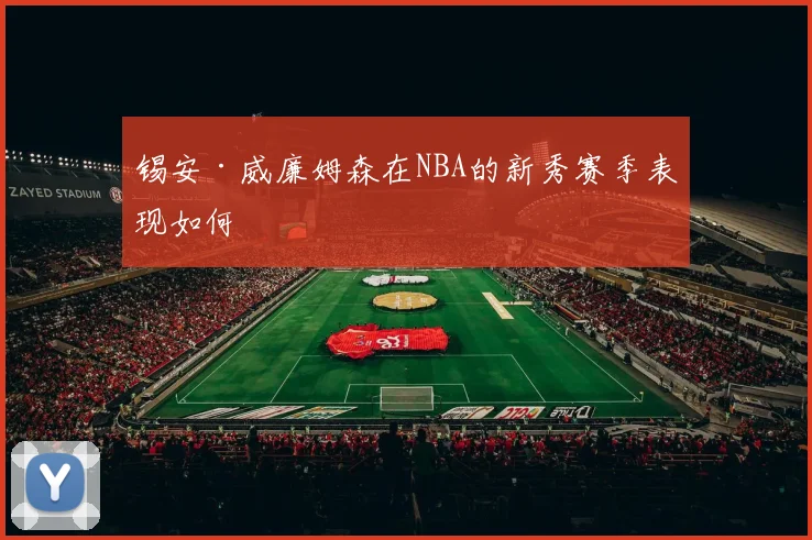 锡安·威廉姆森在NBA的新秀赛季表现如何