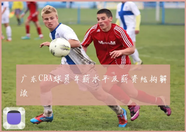 广东CBA球员年薪水平及薪资结构解读