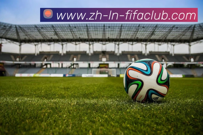 世界杯直播平台生态图